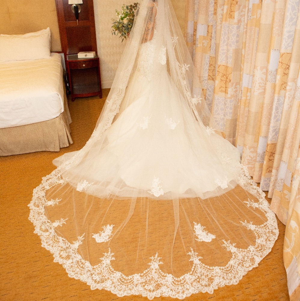 Veil david's bridal
